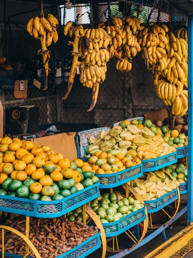 Top Places To See In Zona Colonial, Santo Domingo Top Places To See In Zona Colonial, Santo Domingo