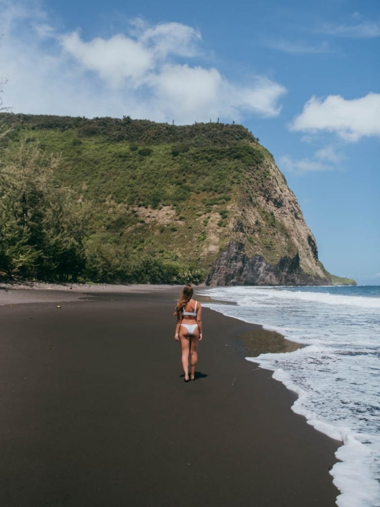 Waipio Valley Beach Waipio Valley Beach